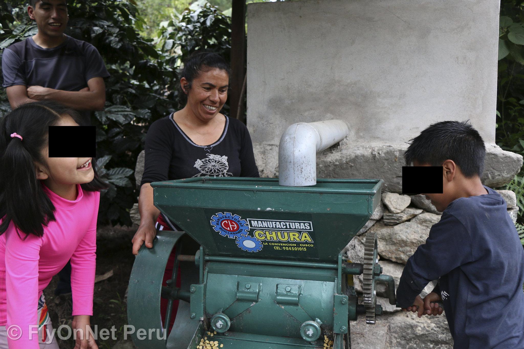 Photo Album: Visit to the coffee plantation