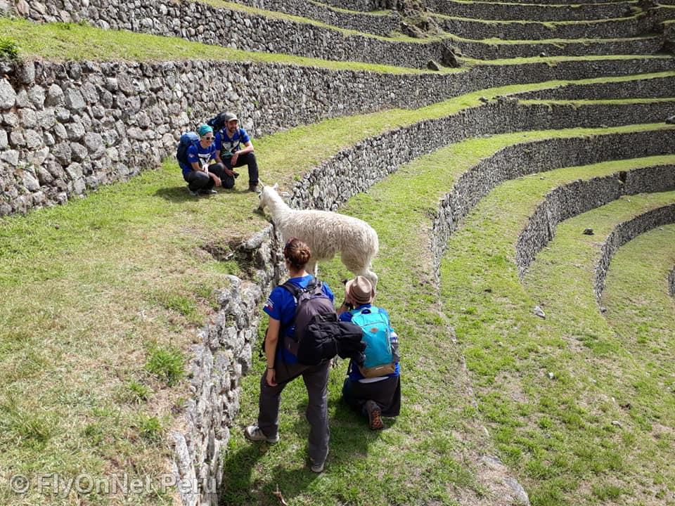 Photo Album: Machu Picchu