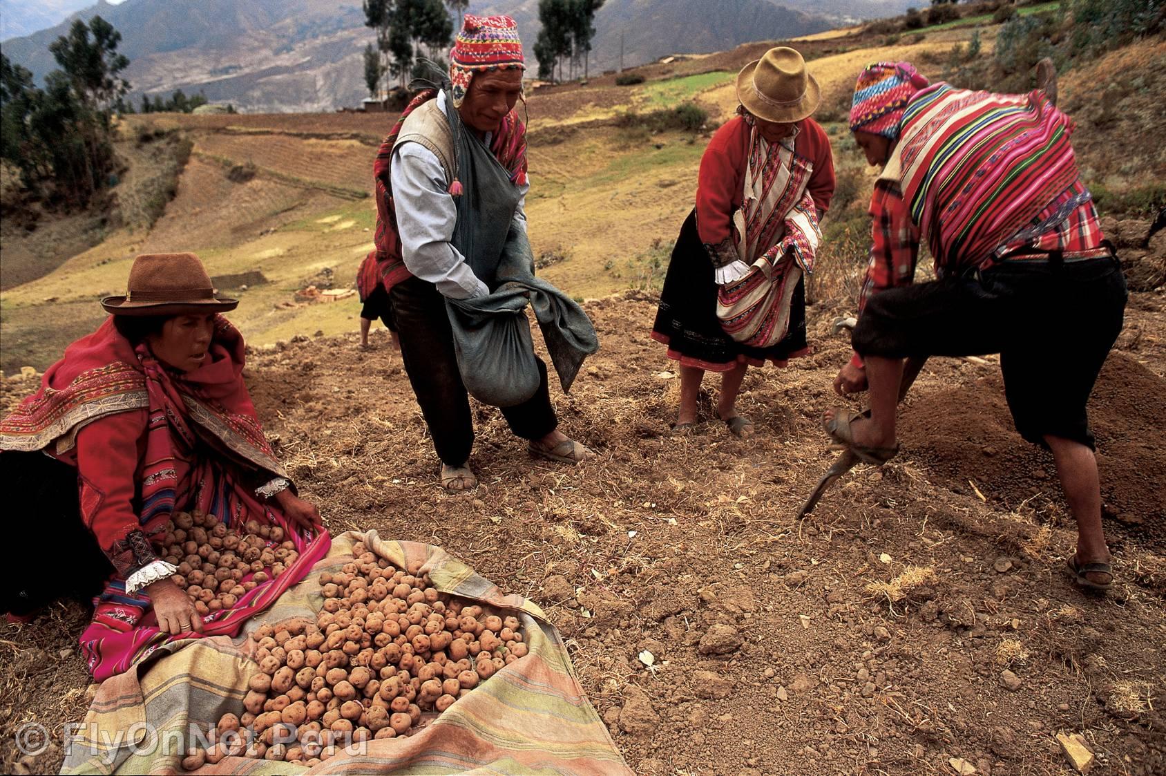 Photo Album: Cuzco